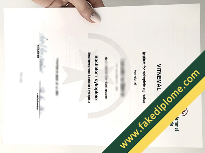 fake Diakonhjemmet Høgskole diploma, fake Diakonhjemmet Høgskole degree, fake Diakonhjemmet Høgskole certificate