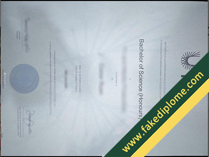 SETU fake diploma, SETU fake degree, SETU fake certificate
