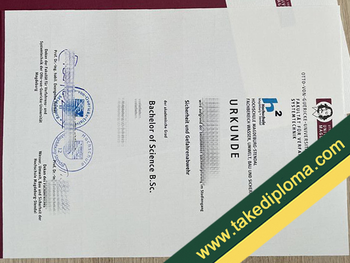 OVGU fake diploma, OVGU fake degree, fake OVGU certificate, fake OVGU urkunde