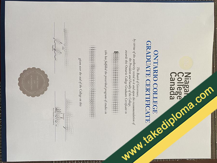Niagara College diploma, Niagara College fake certificate, fake Niagara College transcript