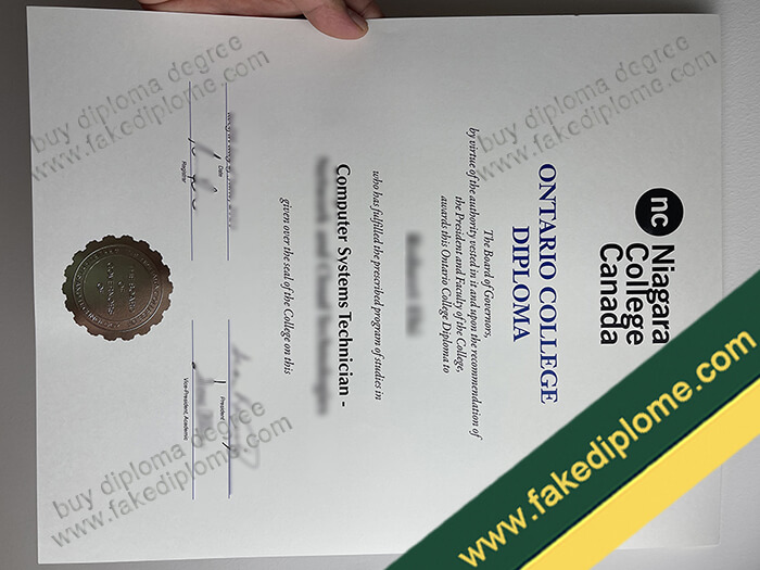 Niagara College diploma, Niagara College degree, Niagara College certificate