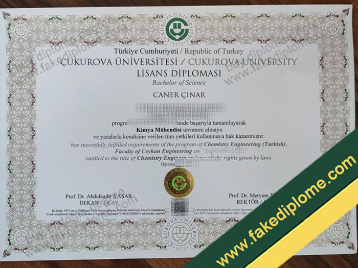 Çukurova Üniversitesi diploma, Çukurova Üniversitesi degree, Çukurova Üniversitesi certificate