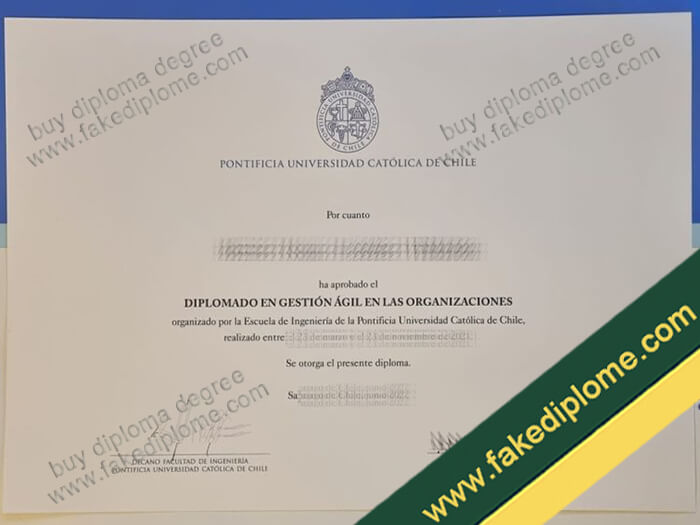Pontificia Universidad Católica de Chile diploma, Pontificia Universidad Católica de Chile degree, Pontificia Universidad Católica de Chile certificate