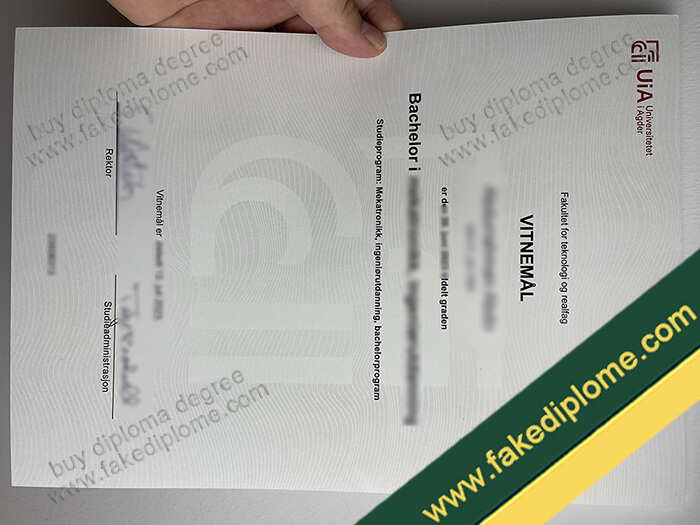 Universitetet i Agder diploma, Universitetet i Agder degree, Universitetet i Agder certificate
