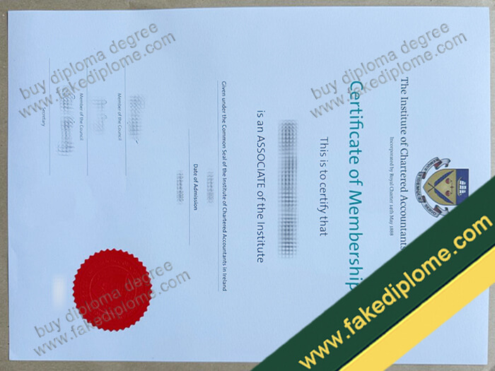 Chartered Accountants Ireland diploma, Chartered Accountants Ireland certificate