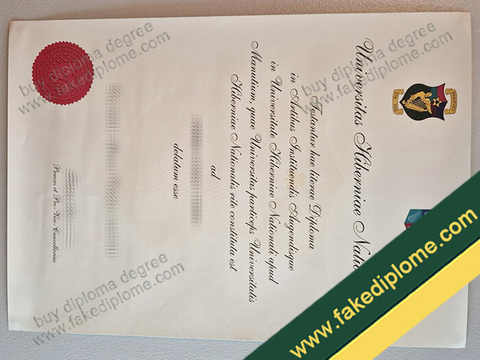 Maynooth University diploma, Maynooth University degree, Maynooth University certificate