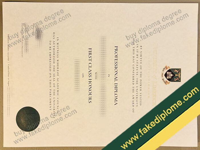 University of Limerick diploma, University of Limerick degree, University of Limerick certificate