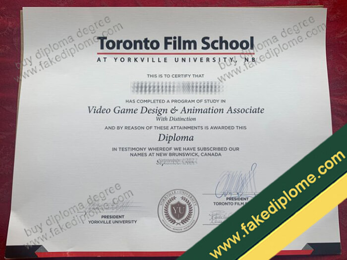 Toronto Film School diploma, Toronto Film School degree, Toronto Film School certificate