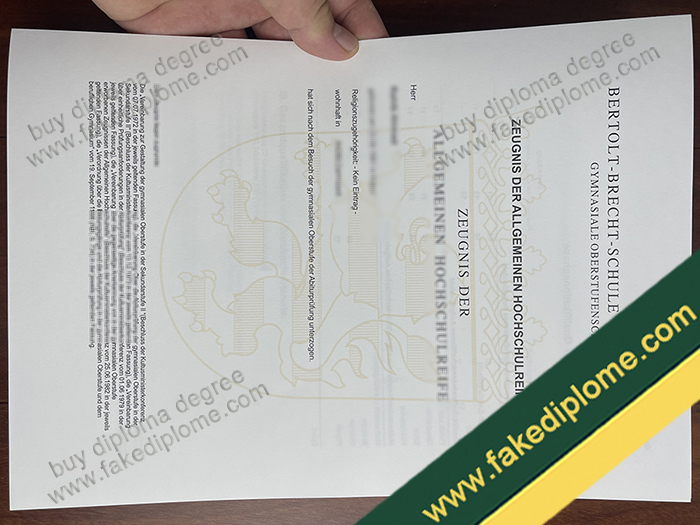 Bertolt-Brecht-Schule Darmstadt diploma, Bertolt-Brecht-Schule Darmstadt degree, Bertolt-Brecht-Schule Darmstadt certificate